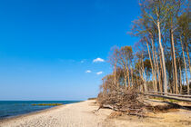 Strand an der Küste der Ostsee bei Graal Müritz by Rico Ködder