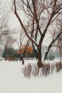 After snowy days von Andrei Grigorev