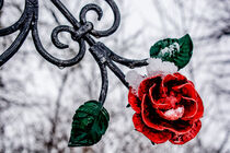 Red metal rose by Michael Naegele