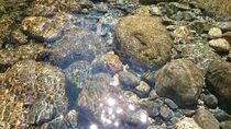 Water and Stones by Anna Calloch
