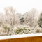 A-white-winter-landscapeimg-7112