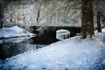 Winter by the Canal von Randi Grace Nilsberg