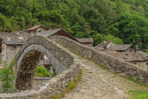  an ancient   bridge  of an Italian alpine village by susanna mattioda