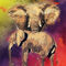 R-wildlife-splash-elefant