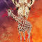 R-wildlife-splash-giraffe