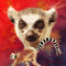 R-wildlife-splash-lemur