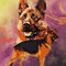 R-wildlife-splash-schaeferhund