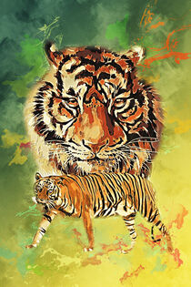 Tiger by printedartings
