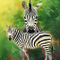 R-wildlife-splash-zebra