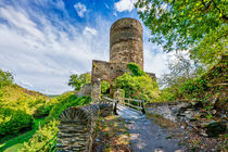 Burg Stahlberg 29-9 von Erhard Hess
