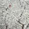 Cardinal-snow-trees