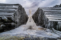 Icy World by Kilian Schloemp