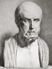Portrait of Hippocrates  von Langlume