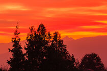 a spectacular sunset over the mountains paints the sky of pink  by susanna mattioda