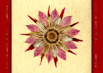 Passiflora 2 (rechteckig) von Sally Stevens