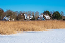 Bodden mit Häuser in Born auf dem Fischland-Darß im Winter by Rico Ködder