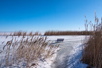 Bodden bei Ahrenshoop auf dem Fischland-Darß im Winter by Rico Ködder