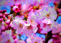 CherryBlossom Magic von mimulux