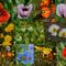 'Mohnblumen Collage' von Iris Heuer