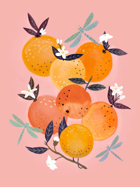 7-oranges-and-3-dragonflies-2