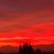 11-tramonto-rosso-giallo-arancio-alberi-bassi-img-0559