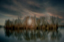Abstract : Lake island by Michael Naegele