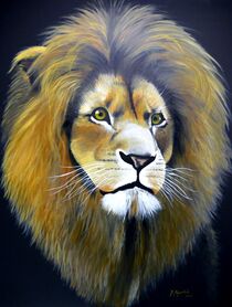 Löwenporträt von Jürg Meyerholz
