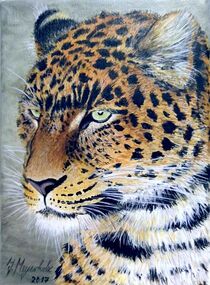 Leopardenkopf by Jürg Meyerholz