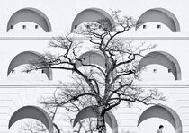 Arcs and tree at the Ehrenbreitstein Fortress Koblenz Germany by Hajarimanitra Rambeloarivony