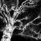 Neural-tree-in-silver-2