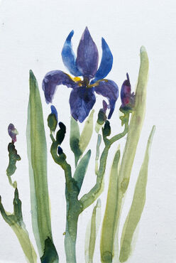 11-malen-am-meer-iris-blau