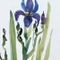 11-malen-am-meer-iris-blau