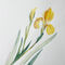 27-malen-am-meer-iris-gelb01