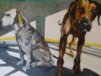 Dogs by Petra Herrmann