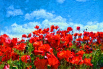 Roter Mohn by freedom-of-art