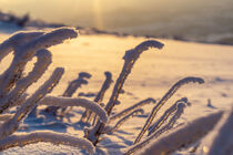 Kalte Sonnenstrahlen by Tom Voelz