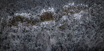Dry rocks in the Bohemian Paradise in winter by Tomas Gregor