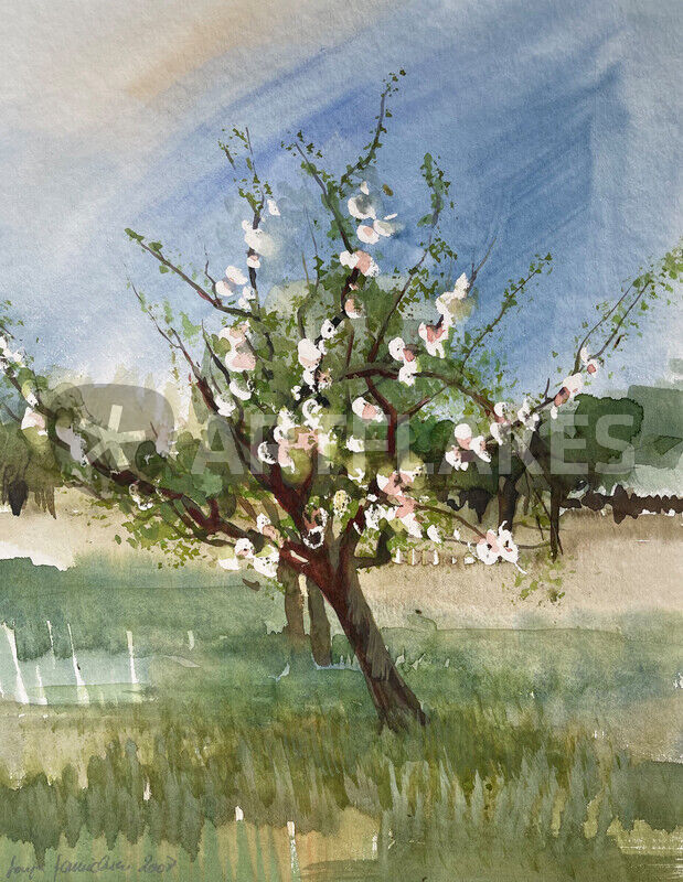 Apfelbaum in voller Blüte Malerei als Poster und Kunstdruck von