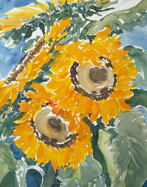 Sonnenblumenmeer by Sonja Jannichsen