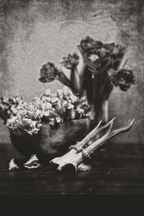 Still mit Tulpen, Hortensien und Rehbock by Petra Dreiling-Schewe