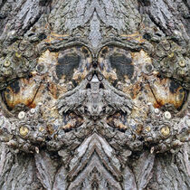 Wächter des Baumes 2, Fotokunst, Guardian of the tree von Dagmar Laimgruber