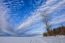 Schneelandschaft mit sich auflösenden Schäfchenwolken  von Christine Horn