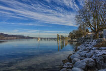 Ein Wintertag in Bodman - Uferbereich mit Jachthafen - Bodensee von Christine Horn
