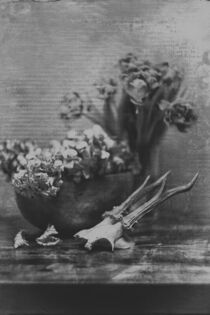 Still mit Blumen - Tristesse by Petra Dreiling-Schewe