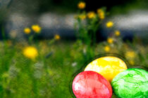 Konzept Ostern : Bunte Eier und Blumen by Michael Naegele