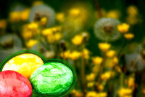 Concept Easter : Easter mood by Michael Naegele