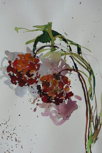 Zwei Blüten by Sonja Jannichsen
