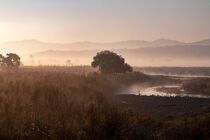 Misty landscape photo in India. by Valentijn van der Hammen