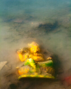 Ganesha-offered-haridwar-india-2009-01-14
