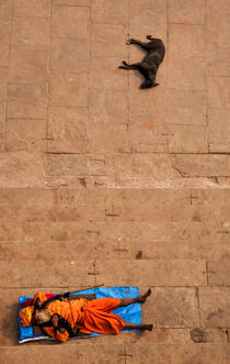 Man with dog in Varanasi - India by Valentijn van der Hammen